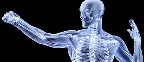 Bone Health : हाड मजबूत करण्यासाठी खा या तीन वस्तू