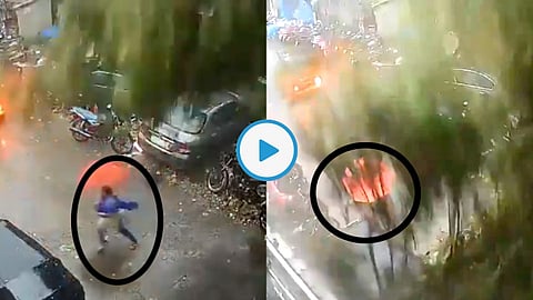 Video: मोठं झाड कोसळताना महिलेने पाहिलं अन्...