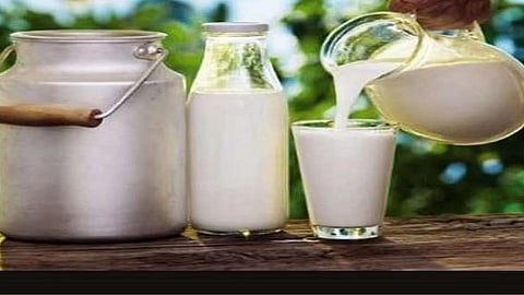 Milk