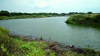 water