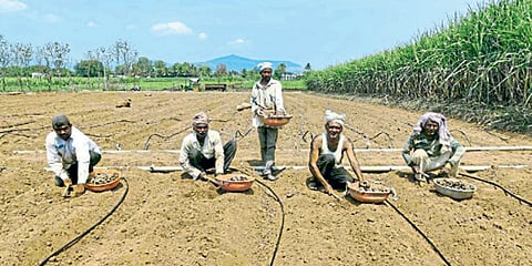 Rural Life
