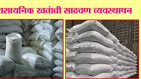 रासायनिक खतांच्या दरवाढीने शेतकऱ्यांच्या संकटात वाढ; केंद्र सरकारने दरवाढ मागे घेण्याची मागणी