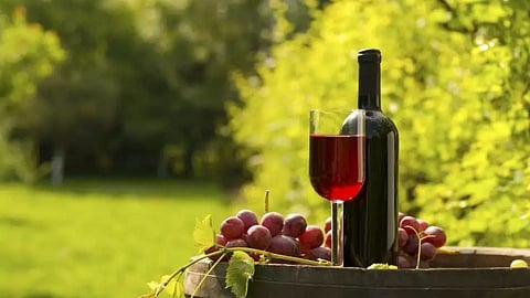 winery 