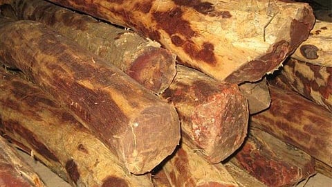 Sandalwood