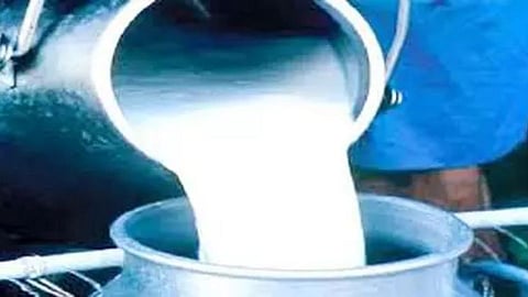 कोल्हापुरातील दूध विक्री बंदचा निर्णय मागे
