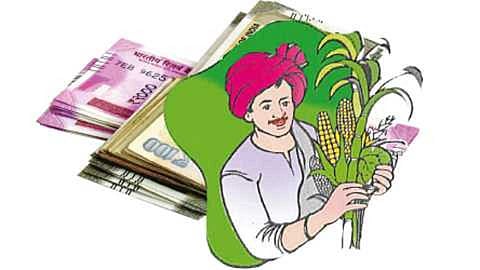 शेतकऱ्यांना पीककर्जाची चिंता; जिल्हा बॅंकेने केले ४४७ कोटींचे वाटप