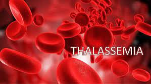 thalessemia