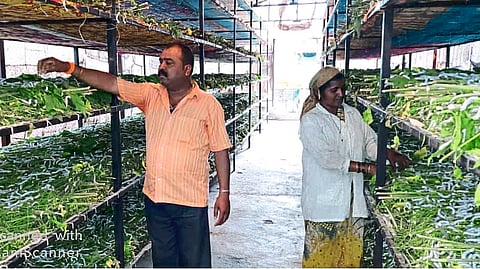 Farmer