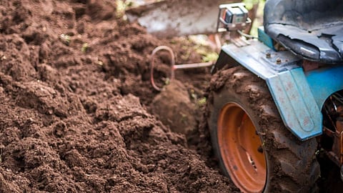 Farming work 