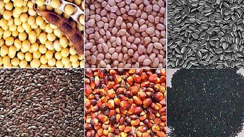 oil seeds