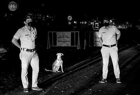 SPO Raja three-legged dog
