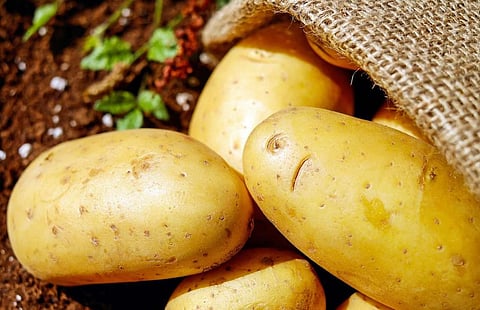 potato