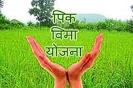 पुनर्रचित हवामान आधारित फळपीक विम्याचे निकष बदला : शेतकऱ्यांची मागणी