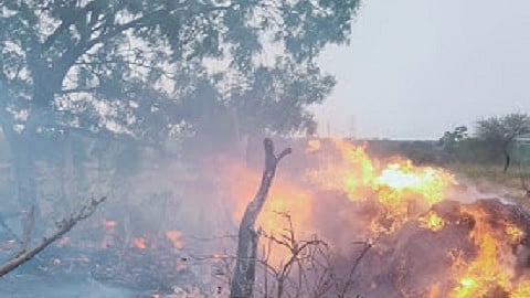 वीज कोसळून लागली आग; शेतकरी बचावला, लाखोंचे नुकसान 
