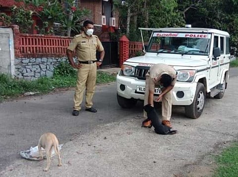 माणुसकी! कोविड ड्युटी करताना 'ते' भरतात मुक्या जनावरांचं पोट