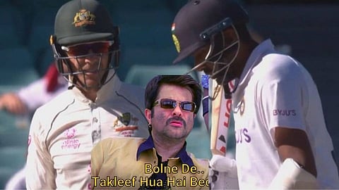  tim paine trolled 