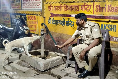 पोलिसातील देवमाणूस! हातपंप चालवून भागवली कुत्र्याची तहान 