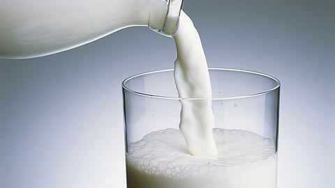 milk