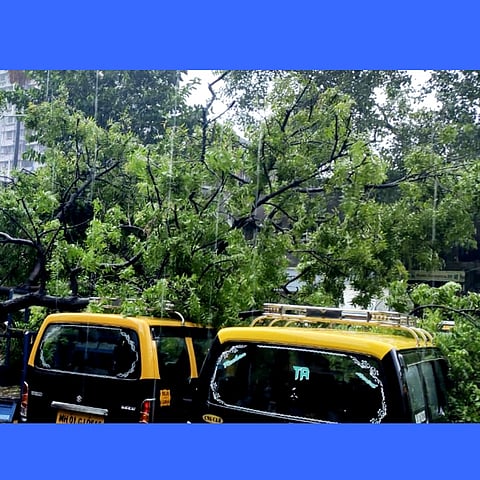 Cyclone Tauktae: वादळाचे राज्यात ६ बळी; ९ जखमी