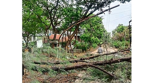 Igatpuri