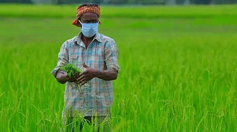 शेतकऱ्यांची आर्थिक व्यथा : साहेब, धानाचा बोनस कधी देता? 