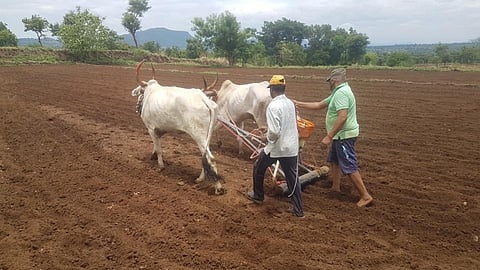 rainfall pattern has changed but farmers crop pattern was not changed 