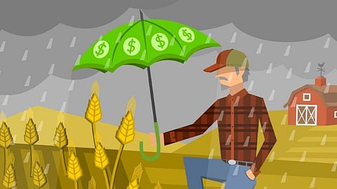 crop insurance