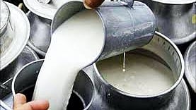 दूध संघात माढा, करमाळा, सांगोला किंगमेकर! तयारी निवडणुकीची