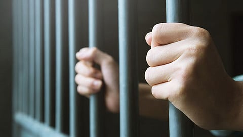 अन् चोरटा घुसला शौचालयात; मालकाने घेतली कडी लावून
