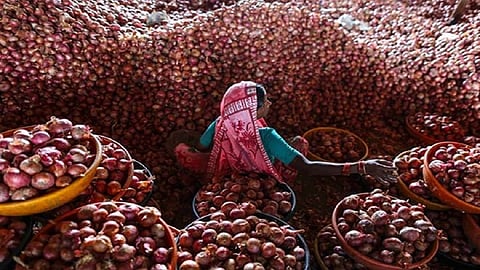 nashik onion