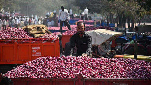 Onion low prices news