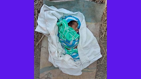 baby found in vasoli