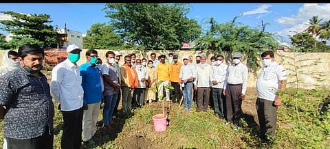 मालेगाव ता. अर्धापूर वृक्षारोपन