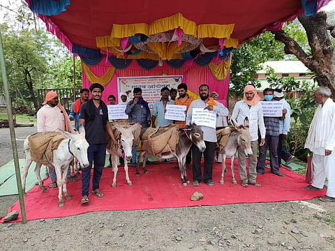 रस्त्याचे काम सुरू करण्यासाठी तेल्हारा येथे गाढव आंदोलन