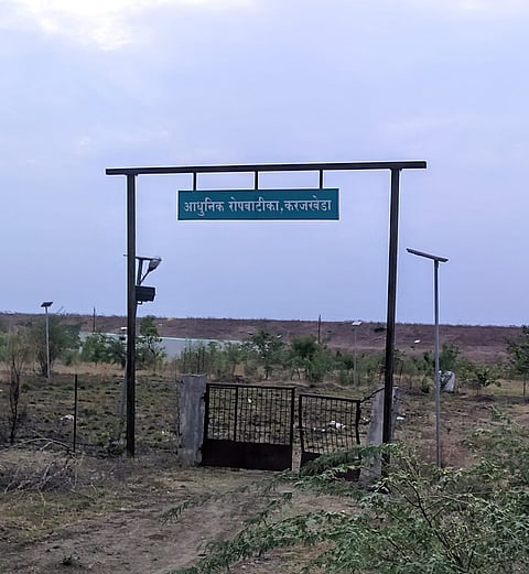परभणी जिल्ह्यातील सेलू येथील रोपवाटीका