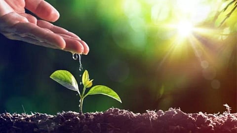 World Environment Day