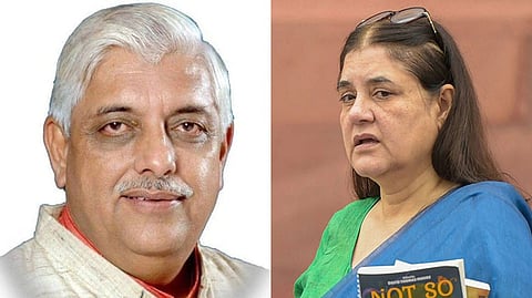 'मेनका गांधी भाजप खासदार असल्याची लाज वाटतेय'