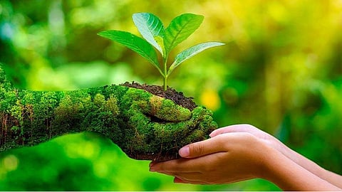Environment Day Root Library Roots at Home Forest Nursery parnshad mumbai