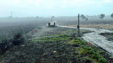 jalgaon rain