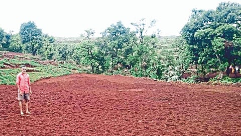 Farmer