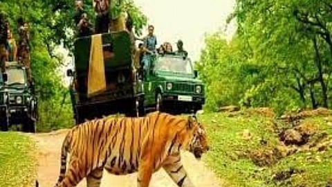 मोगलीचे रान: पेंच व्याघ्र प्रकल्प 