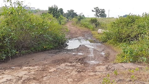 footpath