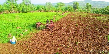 शेती