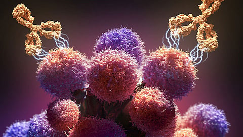 Monoclonal Antibody Therapy