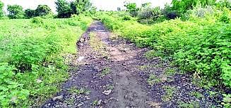 शेत रस्ता