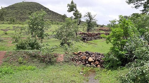ग्रामस्‍थांच्या श्रमदानातून बोडका झालेल्या डोंगरावर फुलली हिरवळ ! 
