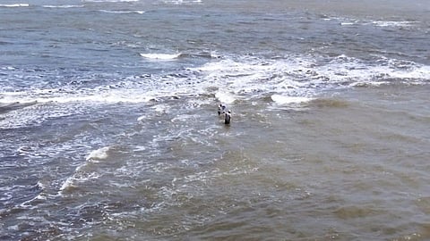 Kokan Rain Update: रत्नागिरीला पावसाने झोडपले 
