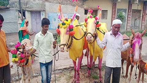 उमरगा (जि.उस्मानाबाद) : उमरगा शहर व तालुक्यातील अनेक गावात गुरुवारी (ता.२४) कारहुन्नवी हा सण कोरोनोचे सावट असल्यामुळे साधेपणाने साजरा करण्यात आला.
