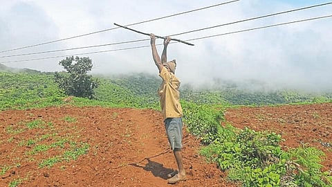Kas Pathar Area