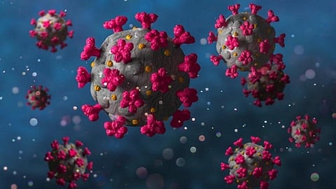 Coronavirus